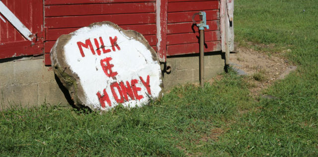 Milk And Honey Meadows Farms