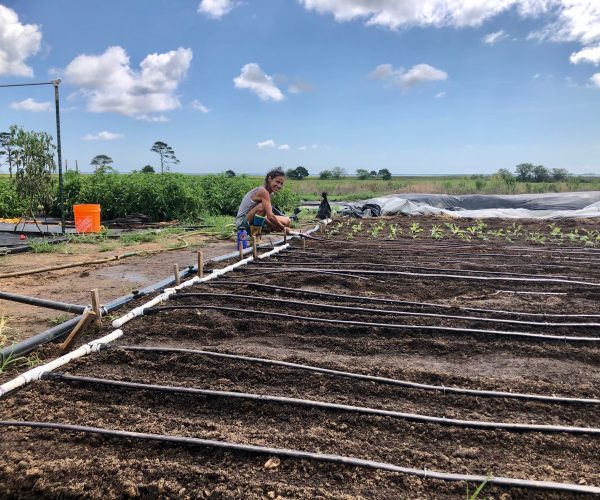 Alumni Grantees - The FruitGuys Community Fund