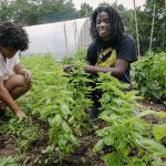 tending plants at philly forests_2022 grantee