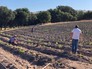 Field at Farm to fight hunger_2022 grantee
