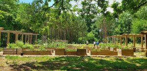 garden view of urban-food-forest-browns mill community garden_2022 grantee
