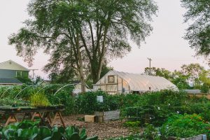 Garden site of Growing Hope Farm
