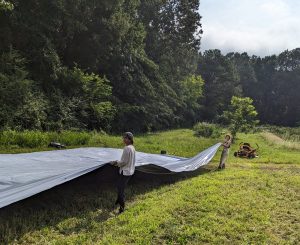 Farmers lay silage tarps in field