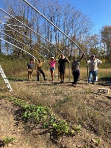 Farm volunteers helping erect hoop house