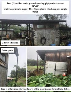 Rainwater catchment system