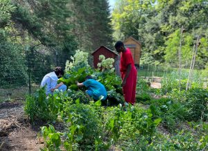 Farmers tending to crops.