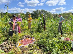 Farmers in the field 