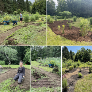 Farmer prepping garden site