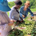 Processing crops