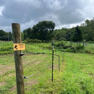 Electric fencing 