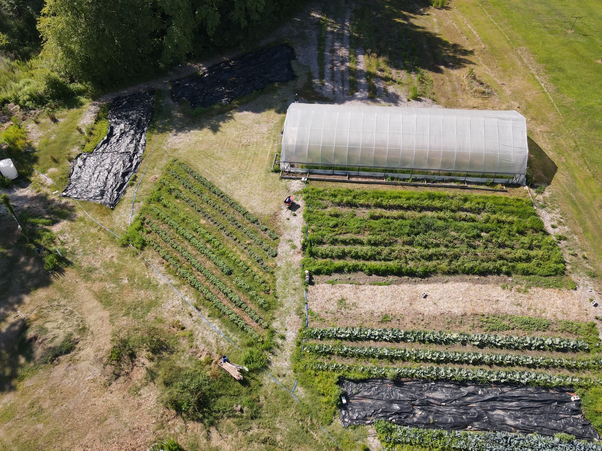 Meet The FruitGuys Community Fund's 2026 Farm Grantees - The