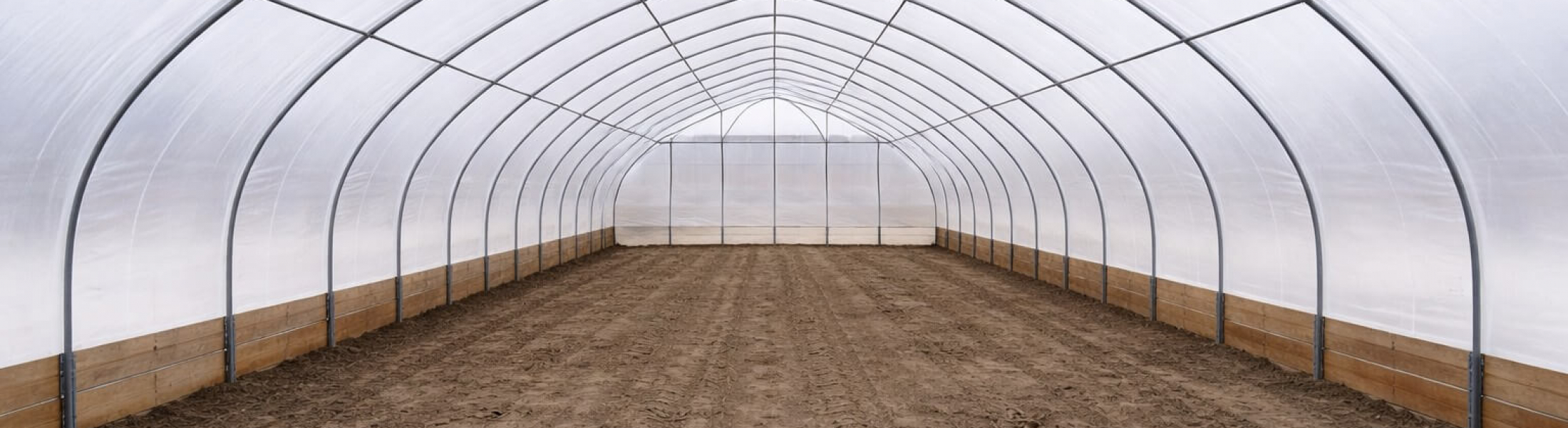 Aspen Ridge Farms - The FruitGuys Community Fund