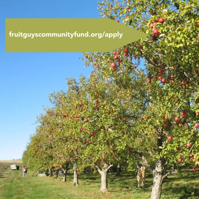 Apply - The FruitGuys Community Fund
